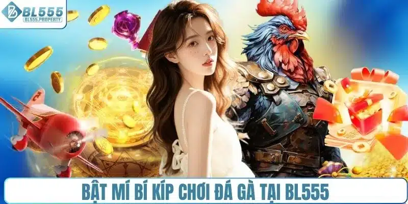Bật mí bí kíp chơi đá gà tại BL555
