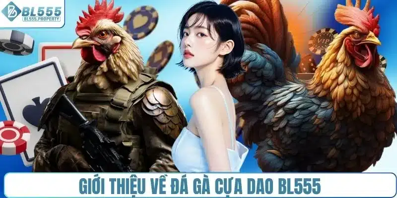 Giới thiệu về đá gà cựa dao BL555