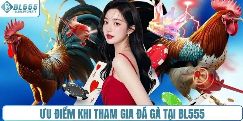 Ưu điểm khi tham gia đá gà tại BL555